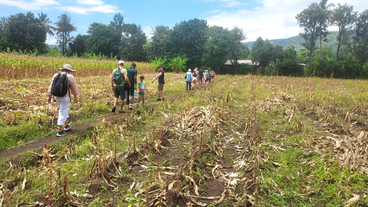 Village Walks