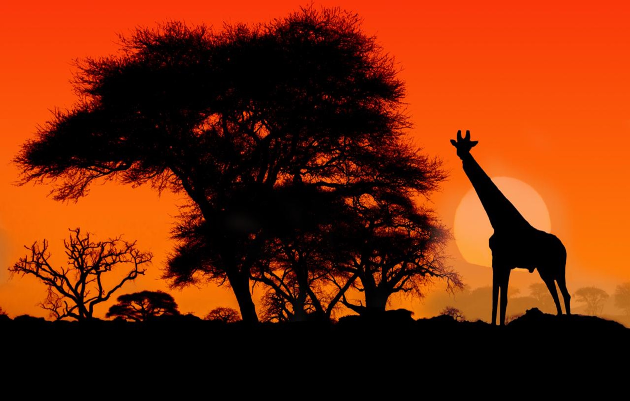 Akagera National Park