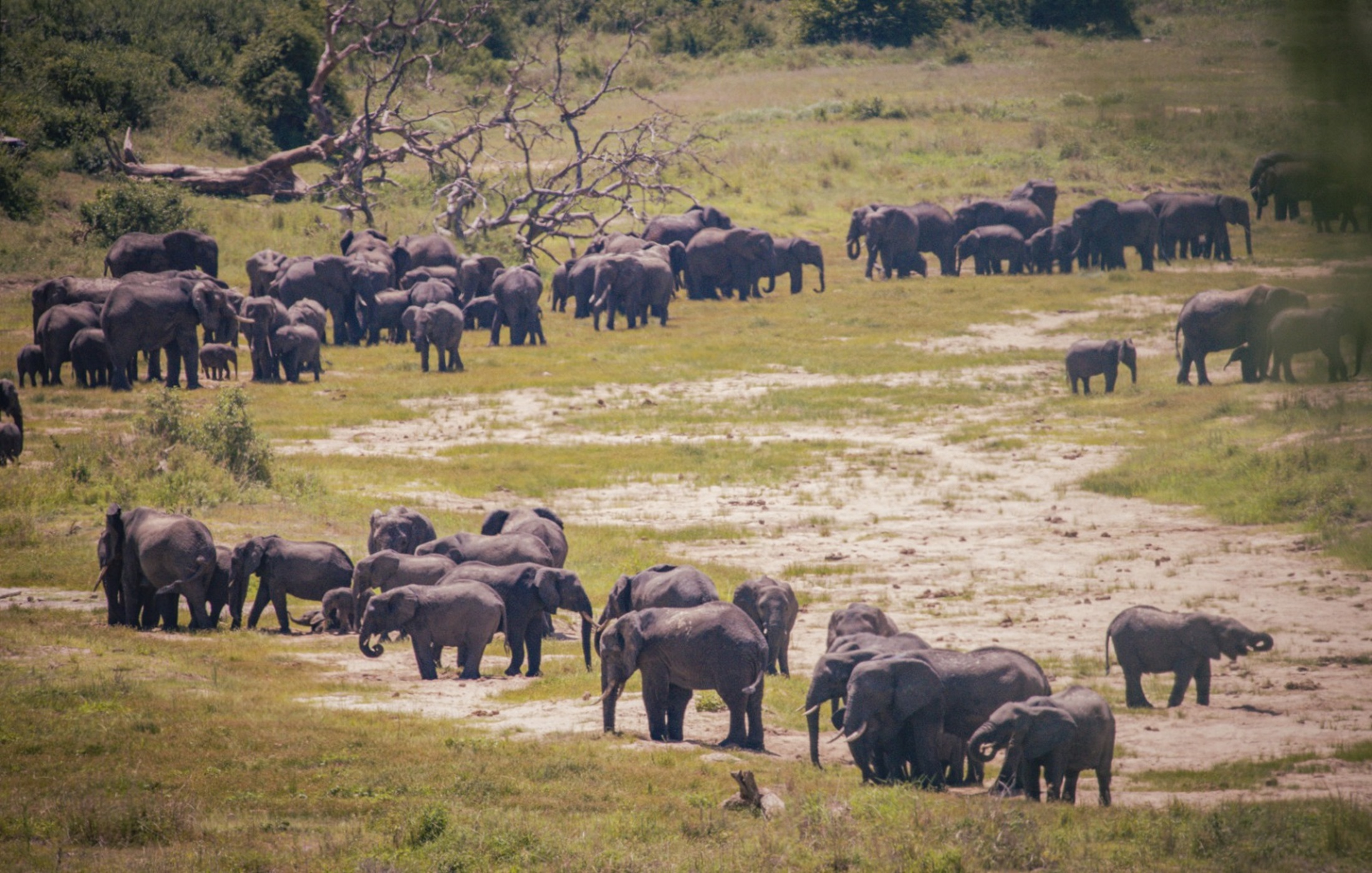 Tarangire National Park