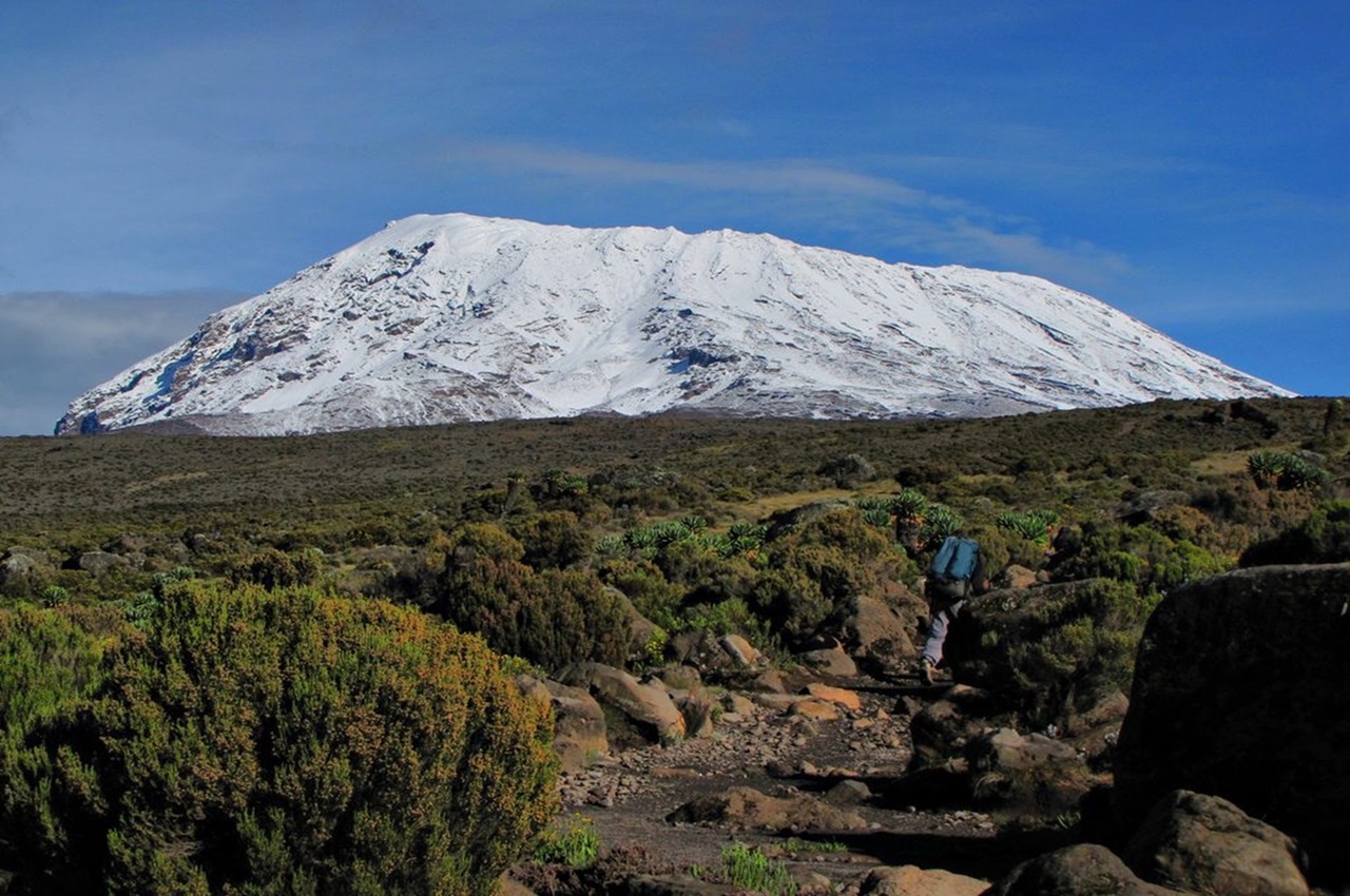 Step by Step to Uhuru Peak: Your Kilimanjaro Adventure